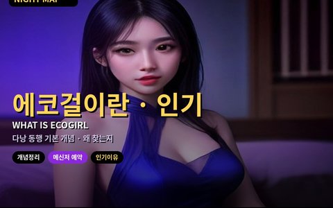 다낭 에코걸이란? 왜 인기인지 한눈에 (2026)