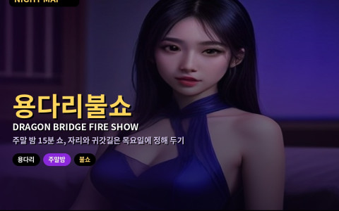 다낭 주말 용다리 불·물 쇼 관람 계획 — 목요일에 미리 짜는 토·일 21시 관람 위치·우천 변수·귀가 그랩