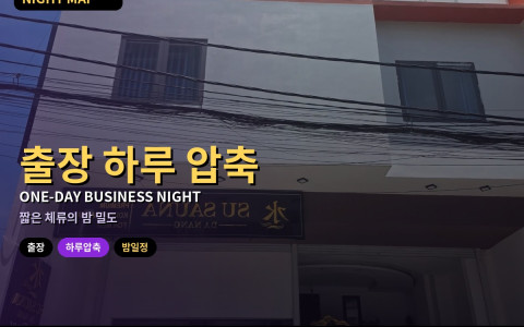 다낭 출장 하루만 있을 때 압축 밤 일정