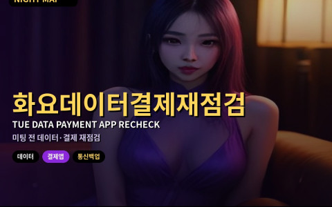 다낭 화요 데이터·결제 앱 재점검 — 미팅 전 통신 백업