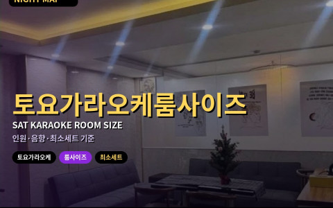다낭 토요 가라오케 룸 사이즈 고르기 — 인원·음향·최소세트 기준으로
