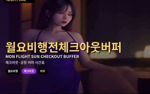 다낭 월요 오전 비행 전 일요 체크아웃 버퍼 — 짐·프런트·공항 이동 시간표