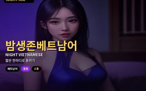 다낭 밤 생존 베트남어 — 마사지·가라오케·그랩에서 쓰는 한마디