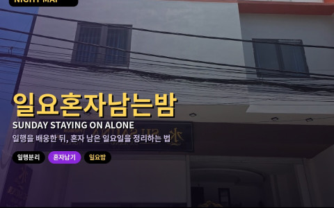 다낭 일요 일행 먼저 출국 후 혼자 남을 때 — 정산·객실 정리·조용한 일요 밤 일정
