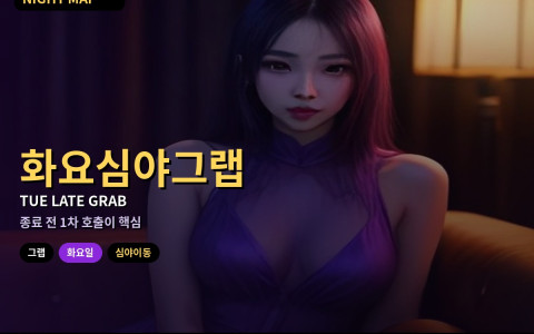 다낭 화요 심야 그랩 — 주중 호출 타이밍