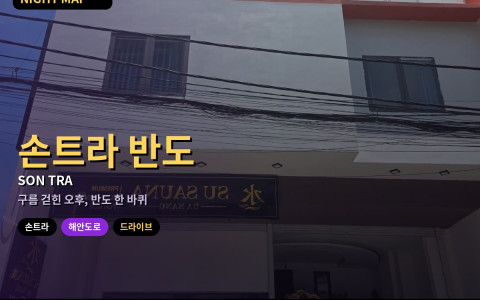 다낭 손트라 반도 우기 드라이브 — 해안도로 노면 주의·전망 포인트·그랩 대절과 시간 배분