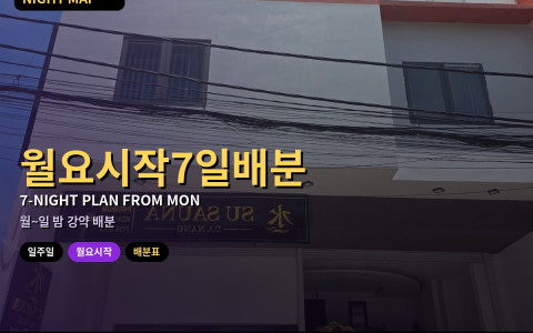 다낭 일주일 체류 월요 시작 — 7일 밤 배분표
