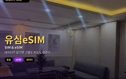 다낭 유심·eSIM 데이터 준비 — 공항 카운터와 시내 매장 비교·토요 충전 방법·일행 핫스팟 공유 요령
