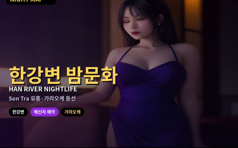 다낭 한강변 밤문화·유흥 가이드 — 가라오케·동선 실전