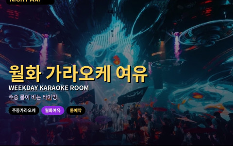 다낭 주중 가라오케 룸 — 월화가 여유일 때