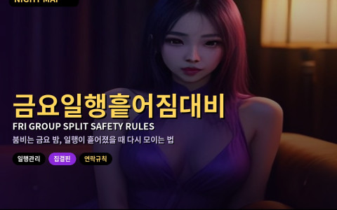 다낭 금요 밤 일행 흩어짐 대비 — 집결 핀·배터리·연락 규칙