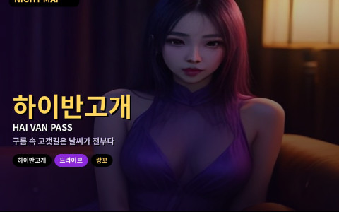 다낭 하이반 고개 드라이브 우기 판단법 — 안개·낙석 체크와 랑꼬 방향 …