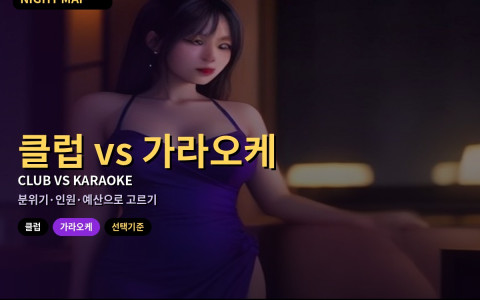 다낭 클럽 vs 가라오케 — 목적별 선택 기준