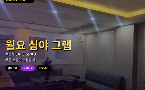 다낭 월요 심야 그랩 — 주중 대기 짧을 때