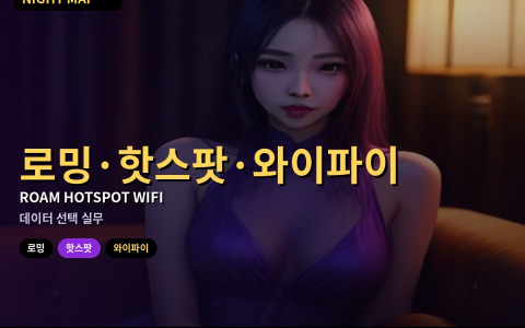 다낭 로밍·핫스팟·현지와이파이 선택