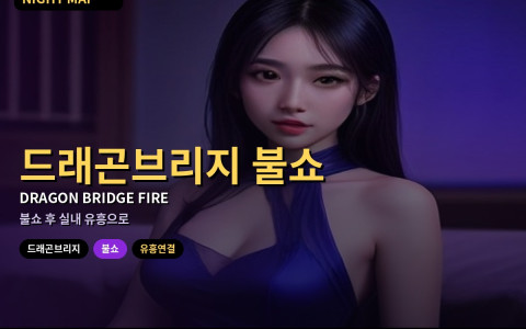 다낭 드래곤브리지 불쇼 시간 맞추고 유흥 이어가기