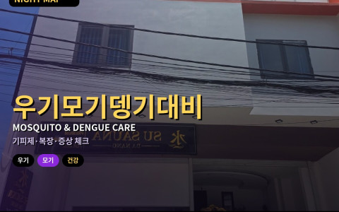 다낭 우기 모기·뎅기열 대비 — 야외 바·강변 산책 전 기피제와 증상 체크