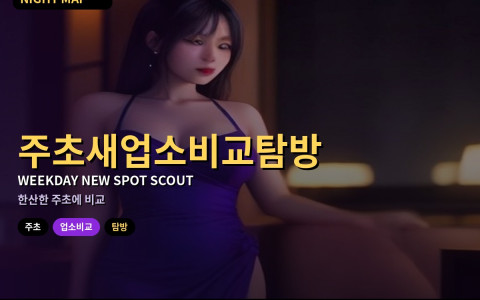 다낭 주초 한산할 때 새 업소 비교 탐방 요령
