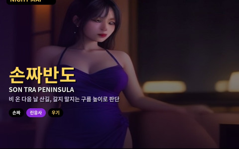 다낭 손짜반도 린응사 전망 드라이브 우기 판단 — 운무·산길 미끄럼·원숭이 주의와 금요 오후 반나절 코스