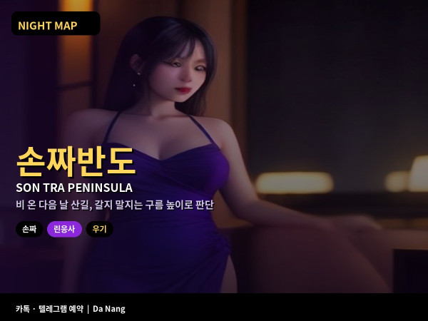 다낭 손짜반도 린응사 전망 드라이브 우기 운무 산길 원숭이 금요 오후 반나절