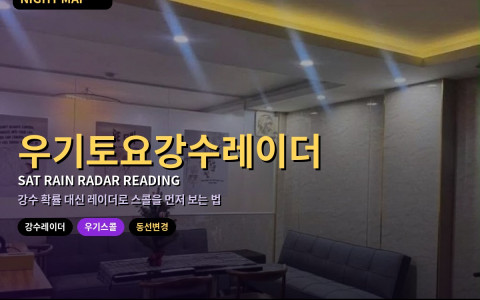 다낭 우기 토요 강수 레이더 보는 법 — 스콜 2시간 전 동선 바꾸기