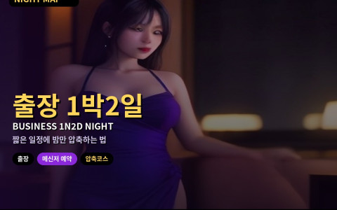 다낭 출장 1박2일 밤 코스 압축 가이드